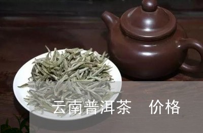 云南普洱茶 价格/2023041398279